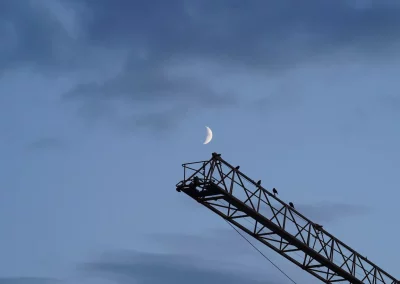 Jennii Lehn - Moon Crane